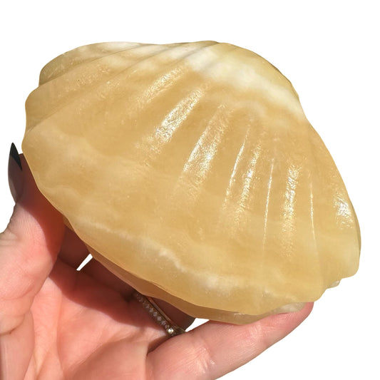Orange Calcite Clam CL1