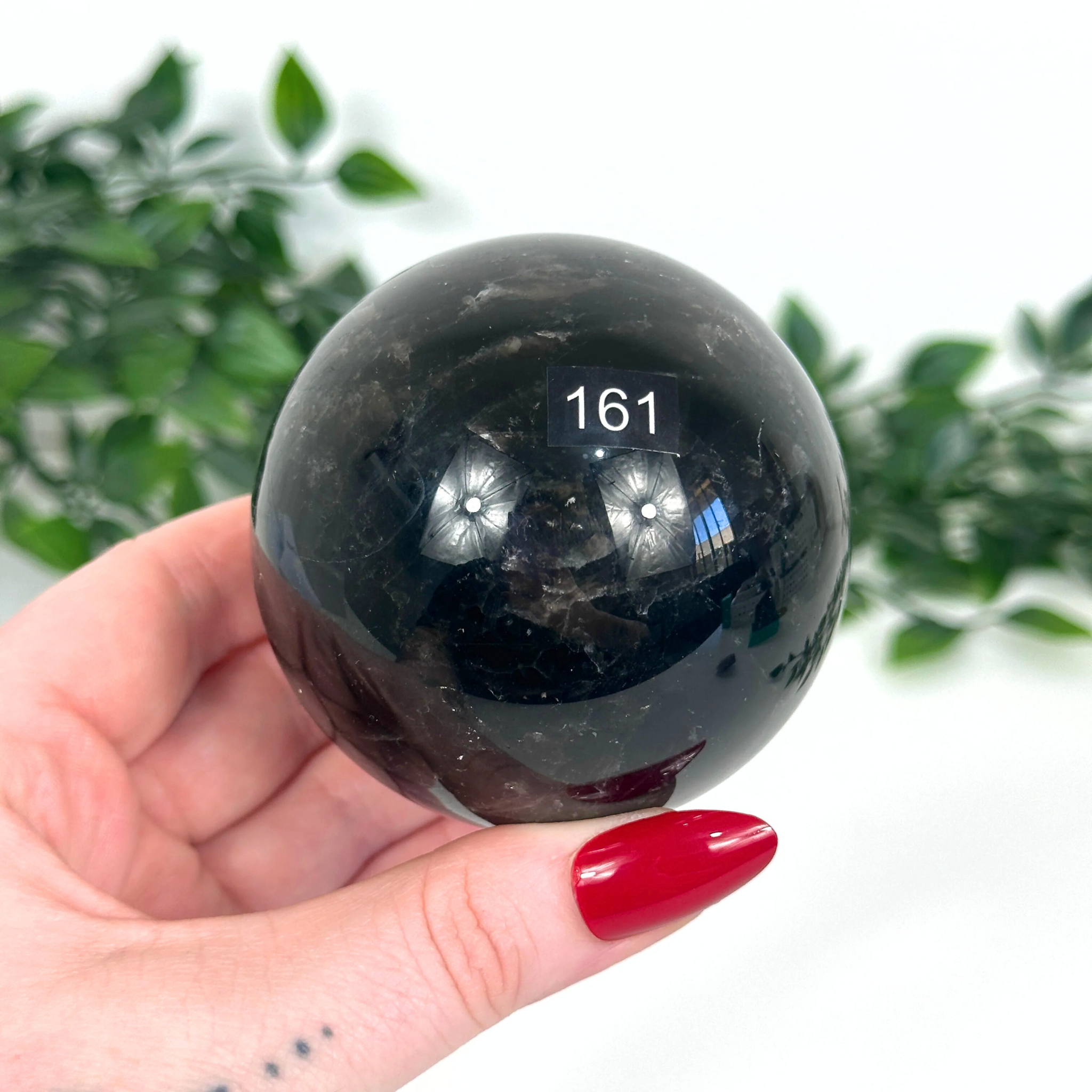 Smoky quartz crystal ball with '161' on a hand against a blurred green plant background