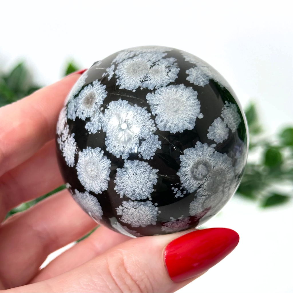 Person holding a snowflake obsidian crystal ball with a blurred green background