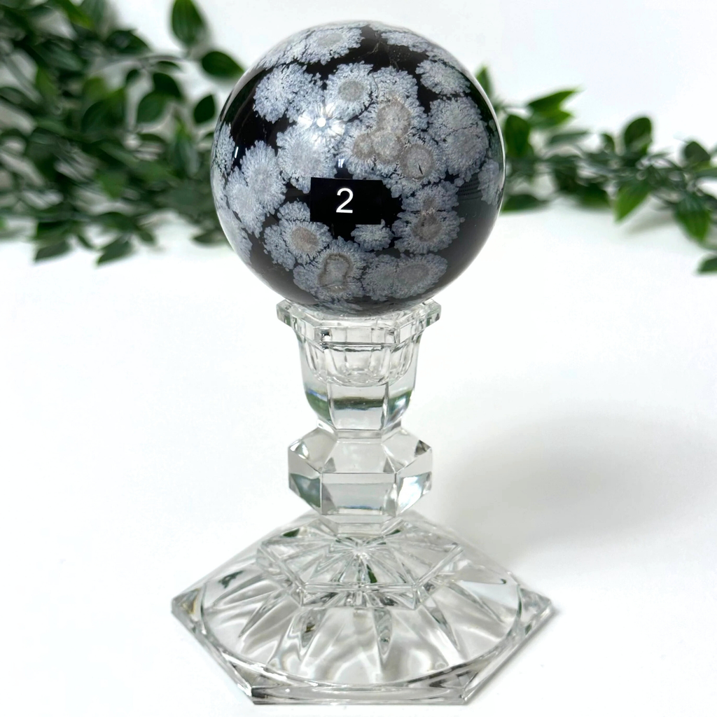 Snowflake obsidian crystal ball with a black and white pattern on a clear stand against a white background.
