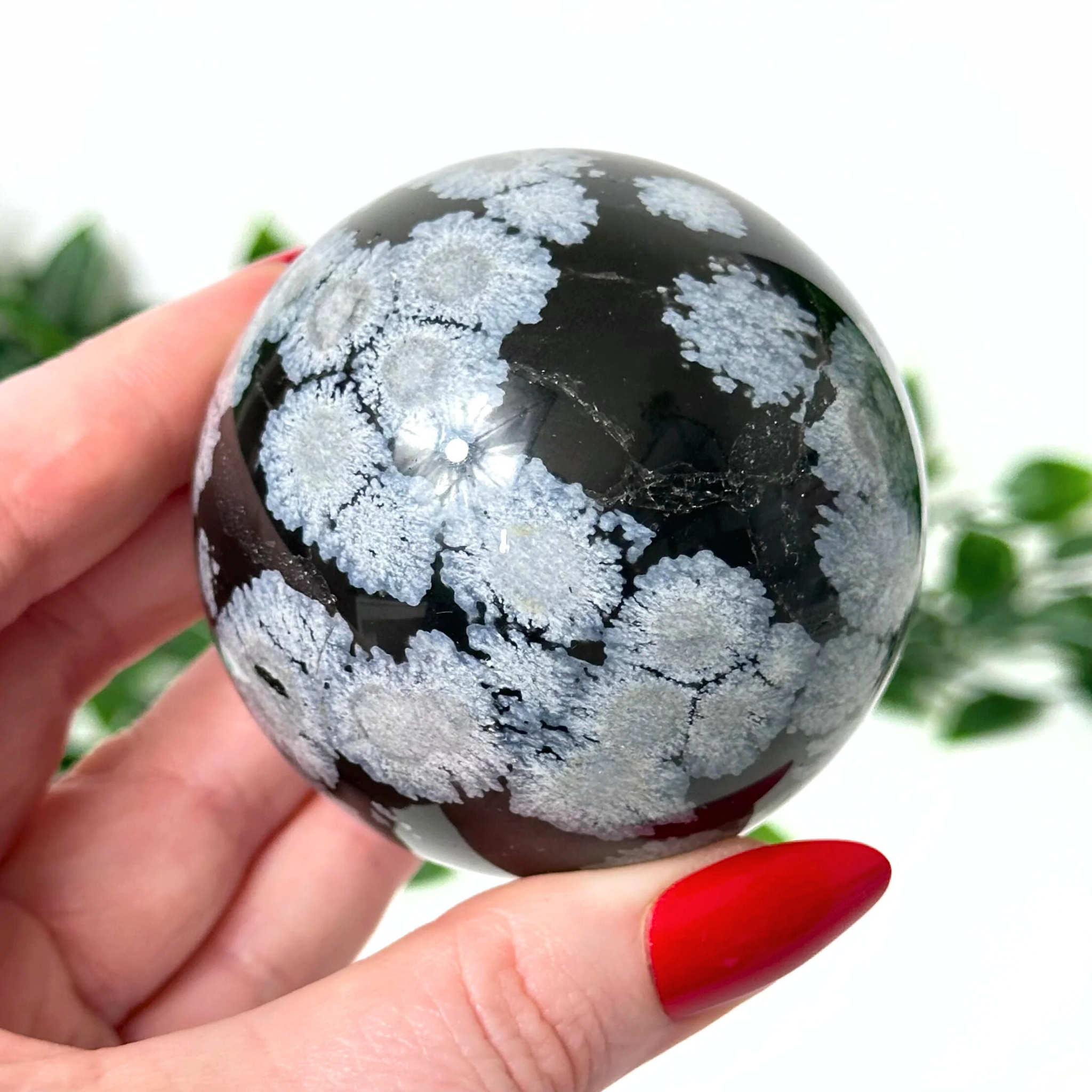 Person holding a snowflake obsidian crystal ball with a blurred green background