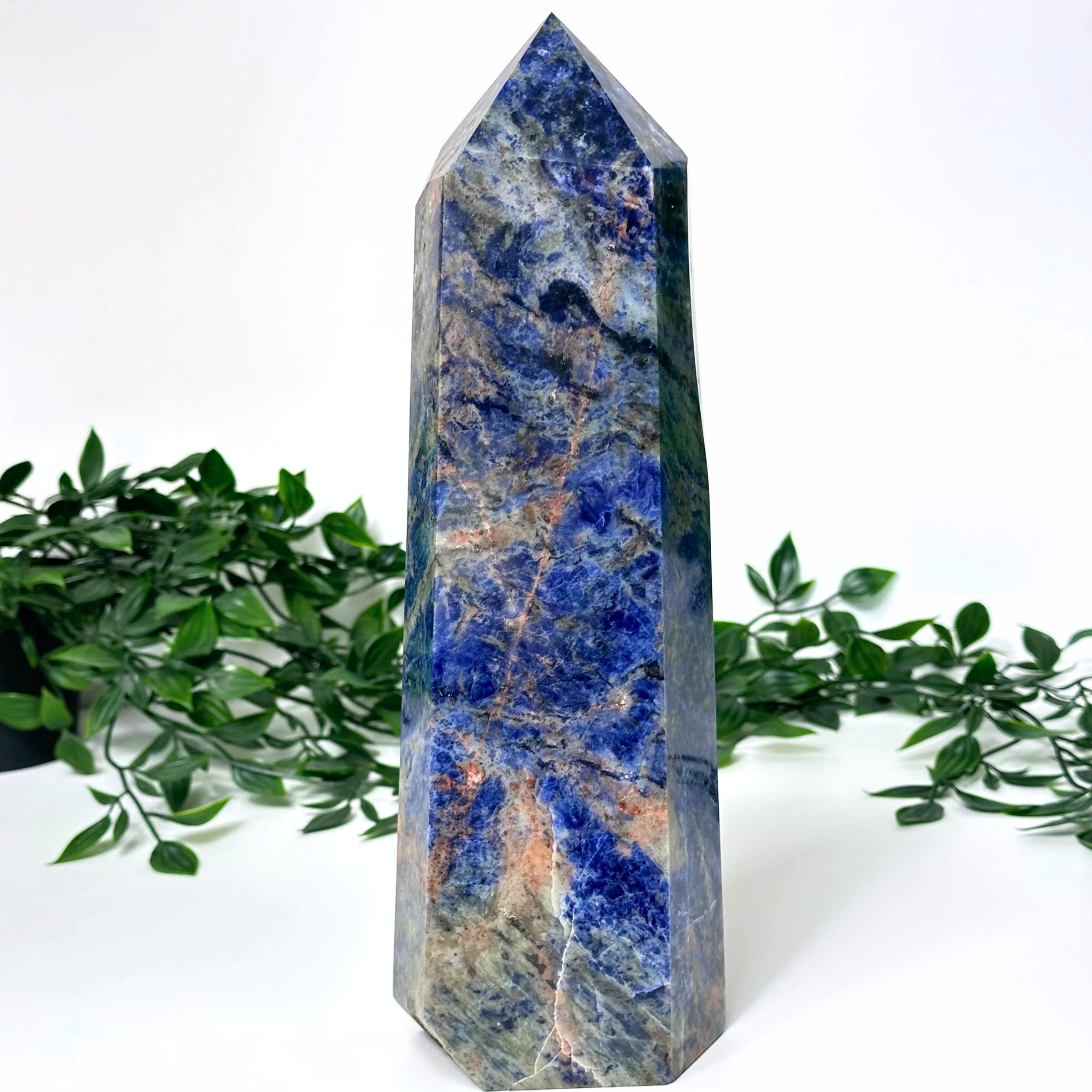 Extra large sodalite crystal tower with green foliage on a white background