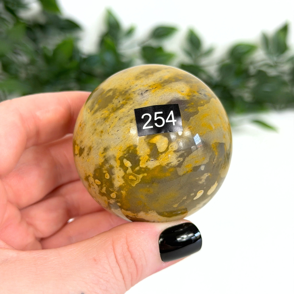 Hand holding a mookaite sphere with a label in front of green foliage