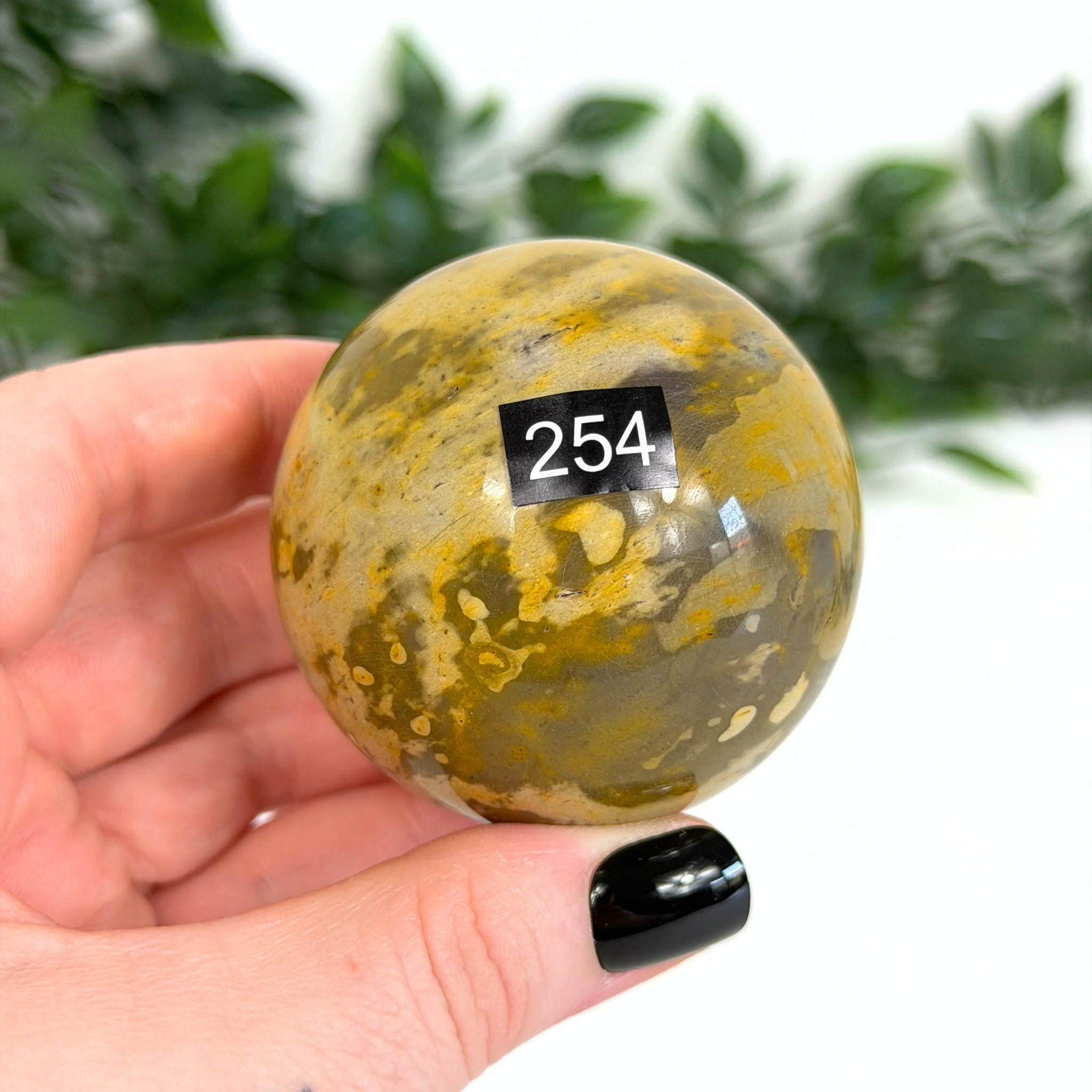 Hand holding a mookaite sphere with a label in front of green foliage
