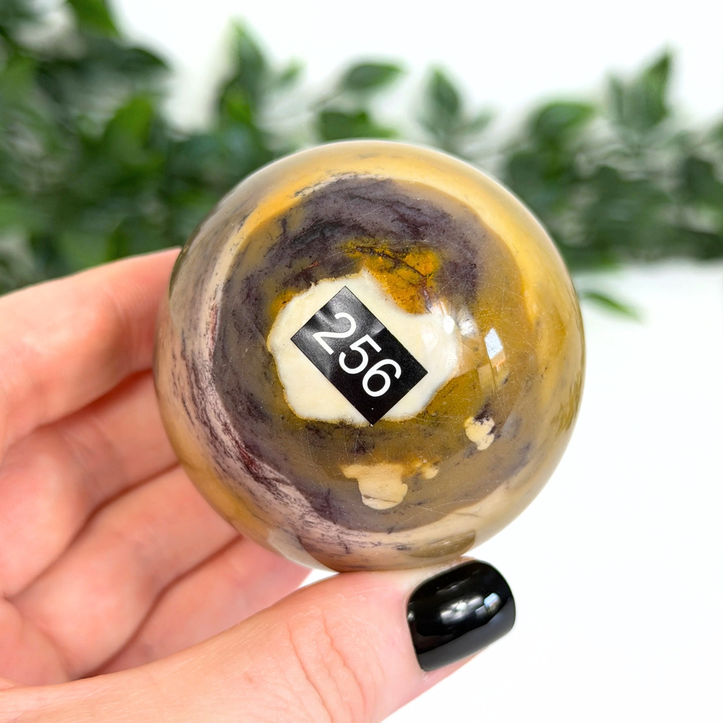 Person holding a mookaite sphere with a number 256 label against a blurred green background